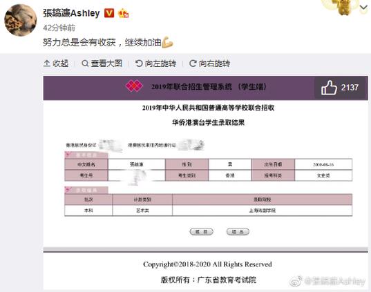 张丹峰洪欣儿子张镐濂被上戏录取:努力会有收获