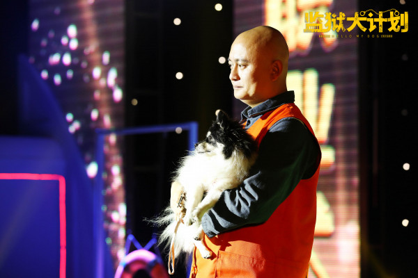 《监狱犬计划》发布终极预告 郝蕾《驴得水》同心共济