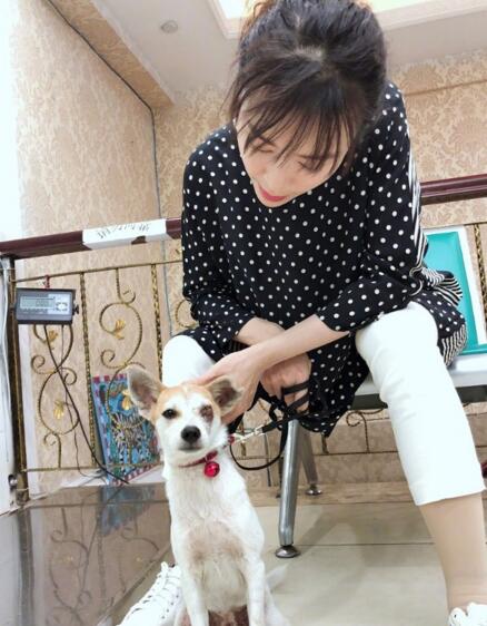 张静初片场救助流浪狗 网友齐夸:人美心善